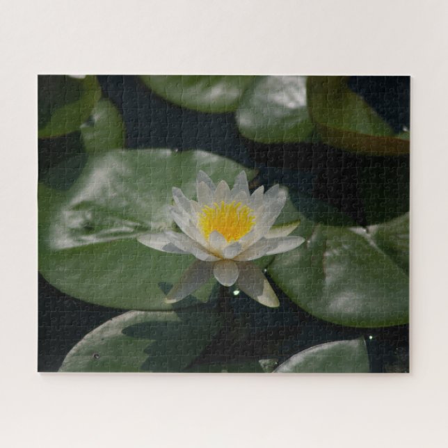 Jigsaw Puzzle, Wasserlilie Puzzle (Horizontal)
