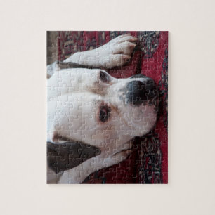 Jigsaw Puzzle: White Boxer Dog Puzzle