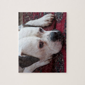 Jigsaw Puzzle: White Boxer Dog Puzzle