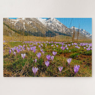 Jigsaws Crocuses Abruzzo Gran Sasso Italien. Puzzle