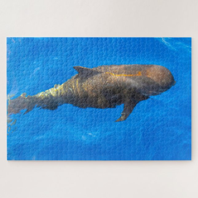 Jigsaws Grindwale Jigsaw Puzzle (Horizontal)