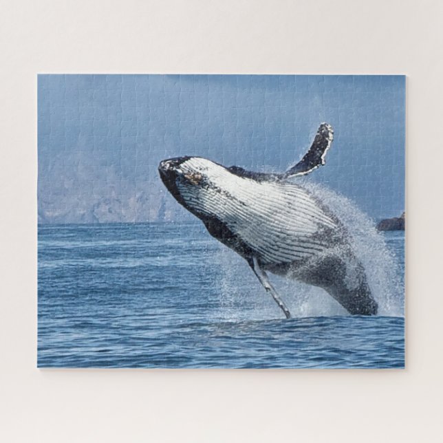 Jigsaws Humpback Whales. Puzzle (Horizontal)