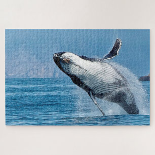 Jigsaws Humpback Whales. Puzzle