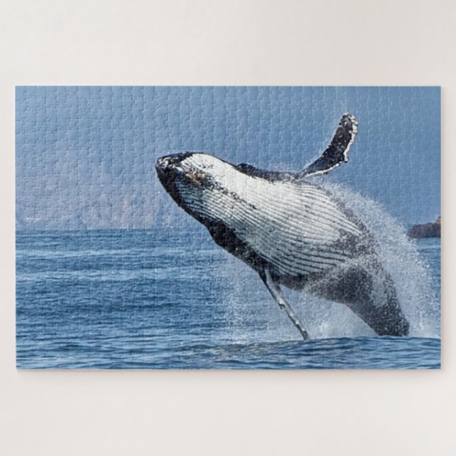 Jigsaws Humpback Whales. Puzzle (Horizontal)