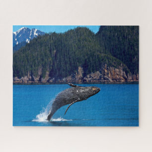 Jigsaws Humpback Whales. Puzzle