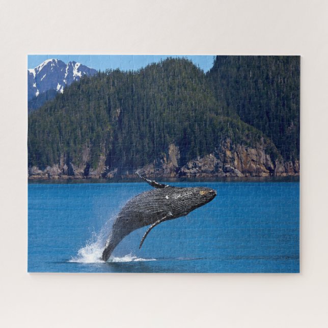 Jigsaws Humpback Whales. Puzzle (Horizontal)
