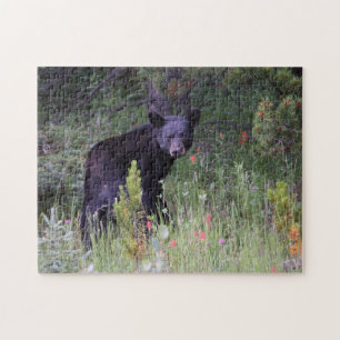 Jigsaws Jasper National Park Kanada. Puzzle