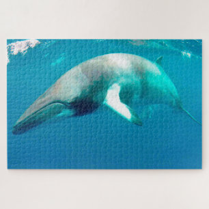 Jigsaws Minke Whales. Jigsaw Puzzle