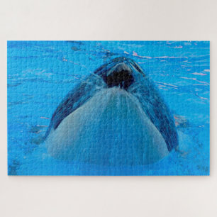 Jigsaws Orcas oder Killer Whales Puzzle