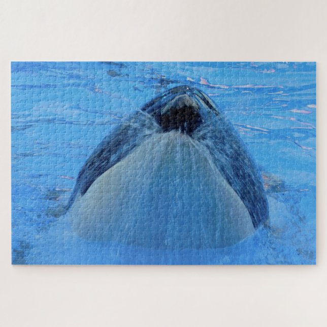 Jigsaws Orcas oder Killer Whales Puzzle (Horizontal)