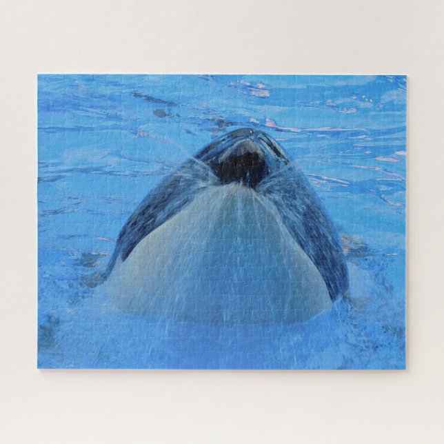 Jigsaws Orcas oder Killer Whales Puzzle (Horizontal)