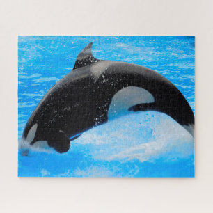 Jigsaws Orcas oder Schwertwale Puzzle