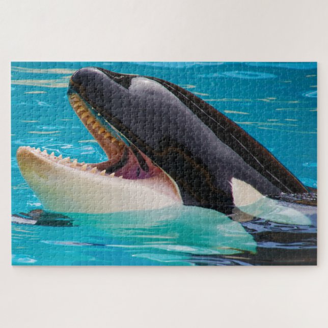 Jigsaws Orcas oder Schwertwale Puzzle (Horizontal)