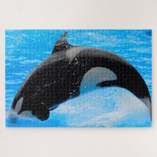 Jigsaws Orcas oder Schwertwale Puzzle