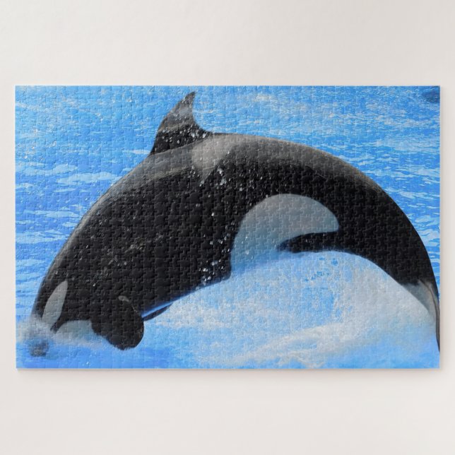 Jigsaws Orcas oder Schwertwale Puzzle (Horizontal)