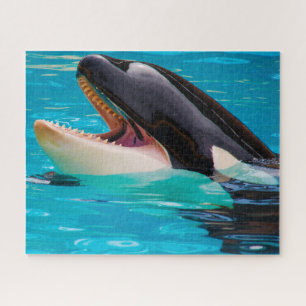 Jigsaws Orcas oder Schwertwale Puzzle