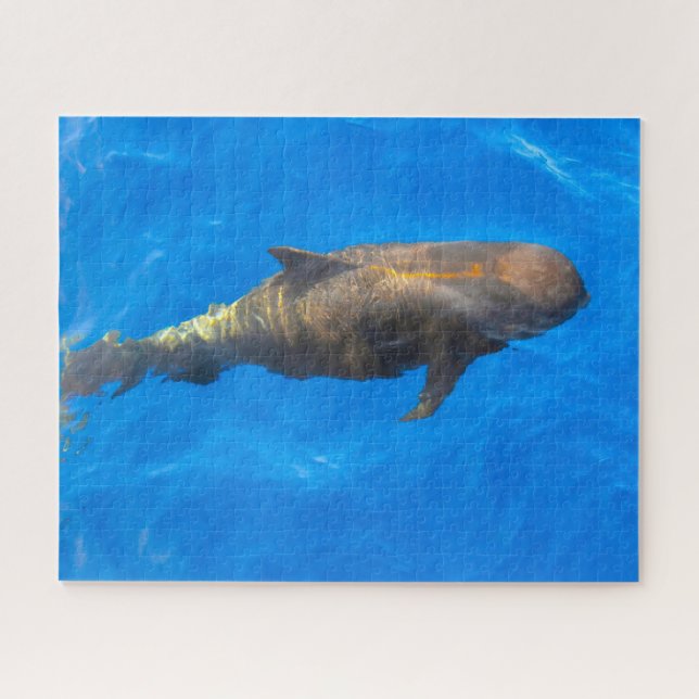 Jigsaws Pilot Whales Puzzle (Horizontal)
