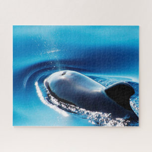 Jigsaws Pilot Whales Puzzle