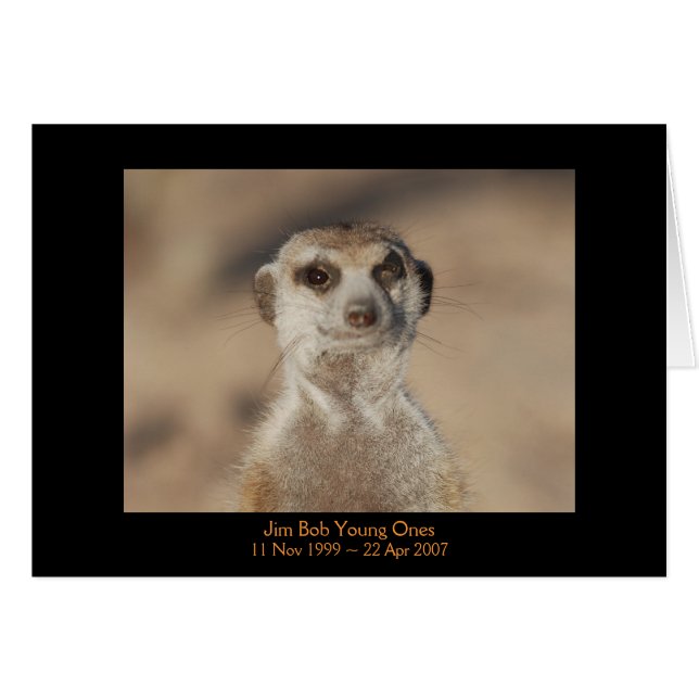 Jim-Bob - Legenden-Karte (Vorderseite (Horizontal))