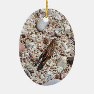 Jiminy Kricket Keramik Ornament