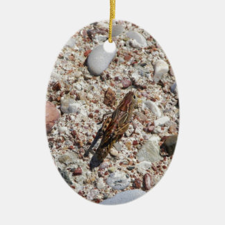 Jiminy Kricket Keramik Ornament