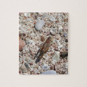 Jiminy Kricket Puzzle