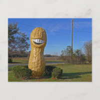 Jimmy Carter Smiling Peanut - Plains GA