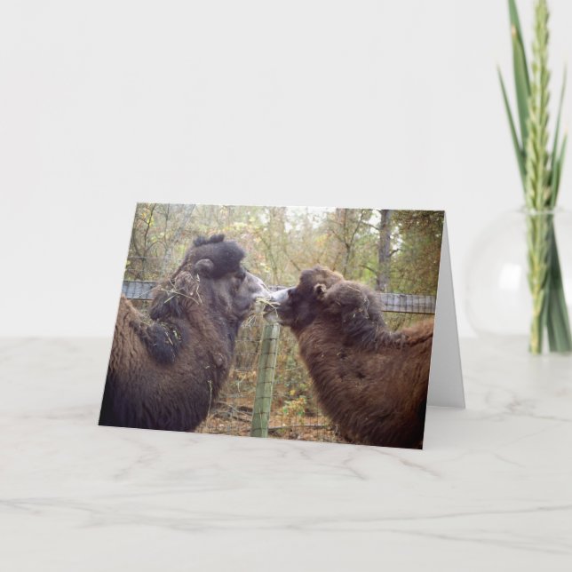 Jingle Baba und Google Mama Karte (Vorderseite)