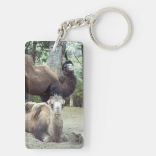 Jingle Baba und Purnimama Schlüsselanhänger