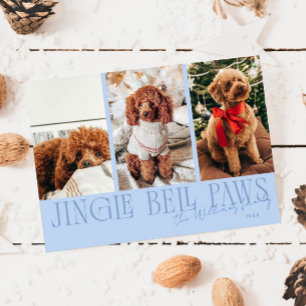 Jingle Bell Paws Weihnachten Eisblauer Hund Foto