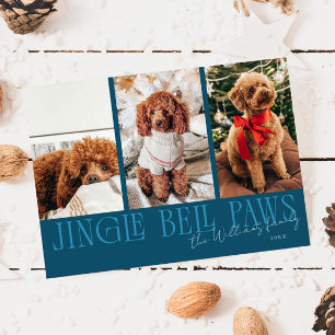 Jingle Bell Paws Weihnachten Türkis Hund Foto 