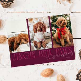 Jingle Bell Paws Weihnachts-Cranberry-Hundefoto Feiertagskarte