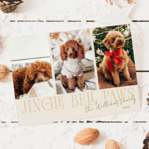 Jingle Bell Paws Weihnachts-Cream-Hundefoto Feiertagskarte