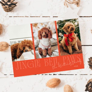 Jingle Bell Paws Weihnachtsfoto roter Hund Feiertagskarte