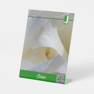 JIRANA SOCKELSCHILD