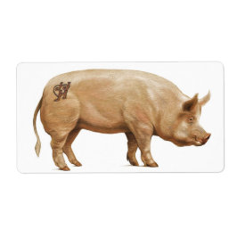 JJHD-Schweinekennzeichen