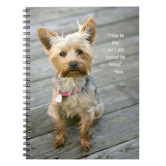jjhelene Yorkshire Terrier "Nina" - Notebook Notizblock (Vorderseite)