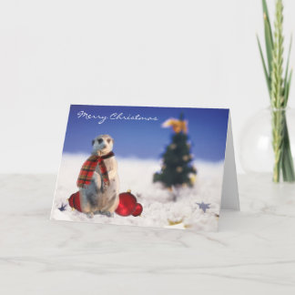 Jo Jo hallo wünscht Ihnen frohen Weihnachten