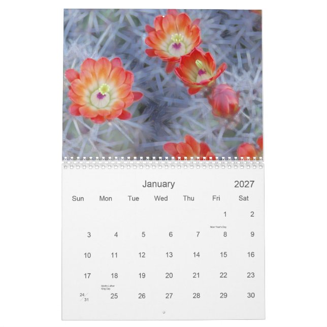 Joanne L Gallery Fotografy 2012 Kalender (Jan 2027)