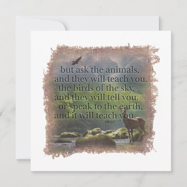 JOB 12:7 - Personalized Notecard Mitteilungskarte (Vorderseite)