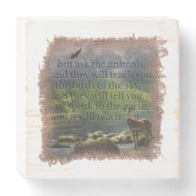 JOB 12:7 - Wood Box Art