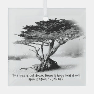 JOB 14:7 Glasverzierung Ornament Aus Glas