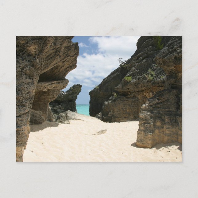 Jobsons Cove Bermuda Postkarte (Vorderseite)