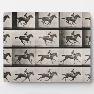 Jockey auf einem galoppierenden Pferd, Platte 627  Fotoplatte