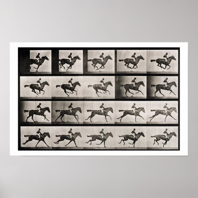 Jockey auf einem galoppierenden Pferd, Platte 627  Poster (Vorne)