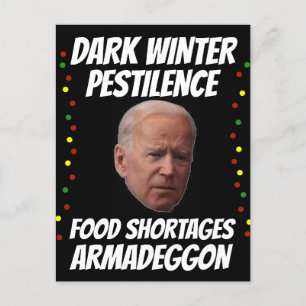 JOE BIDEN DARK WINTER CHRISTMAS POSTCARDS POSTKARTE