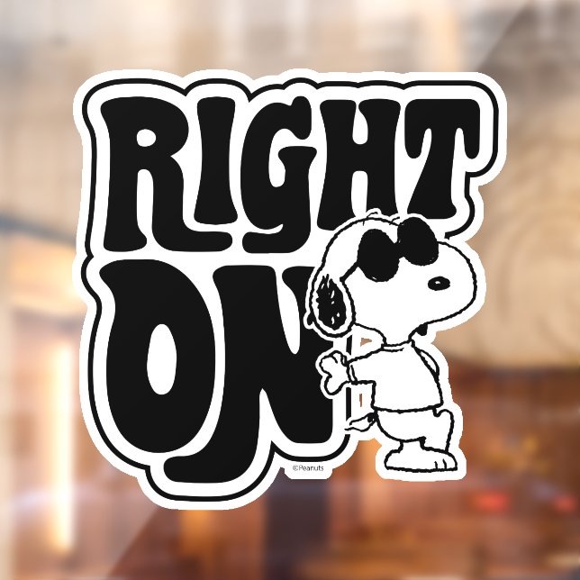 Joe Cool - Richtig Fensteraufkleber (Blatt 2)