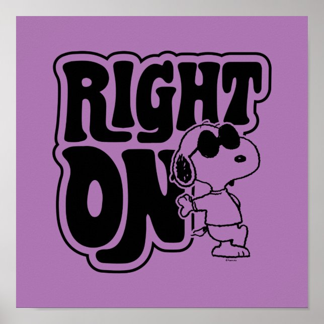 Joe Cool - Richtig Poster (Vorne)