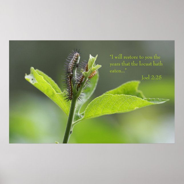 Joel 2:25 Scripture Poster (Version C) (Vorne)