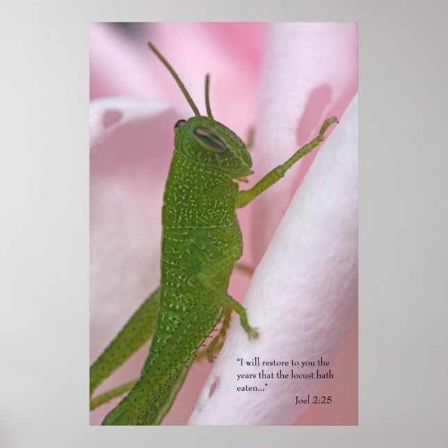 Joel 2 Scripture Poster (Vorne)